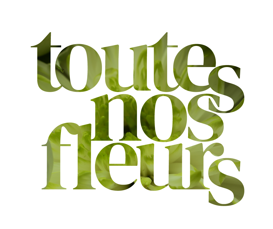 La boutique La Fleur Des ChampsToutes nos fleurs